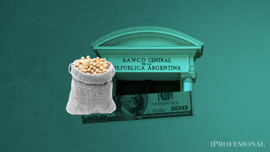Para el Central, el destino de los pesos recibidos por exportaciones de soja en septiembre se convirtió en un tema de primera importancia: quiere evitar una demanda agregada en el mercado cambiario