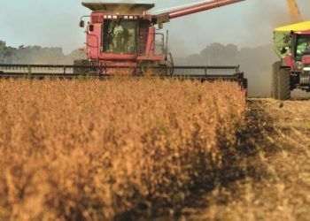 El campo acelera ventas y se acerca a récord pese a retenciones